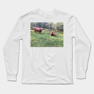 Scottish Highland Cattle Cows 2103 Long Sleeve T-Shirt